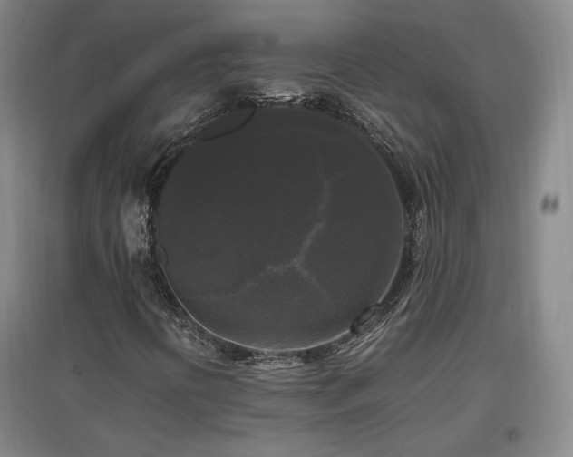 X0000097461394200802221201