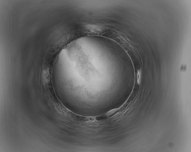 X0000097461395200802221201