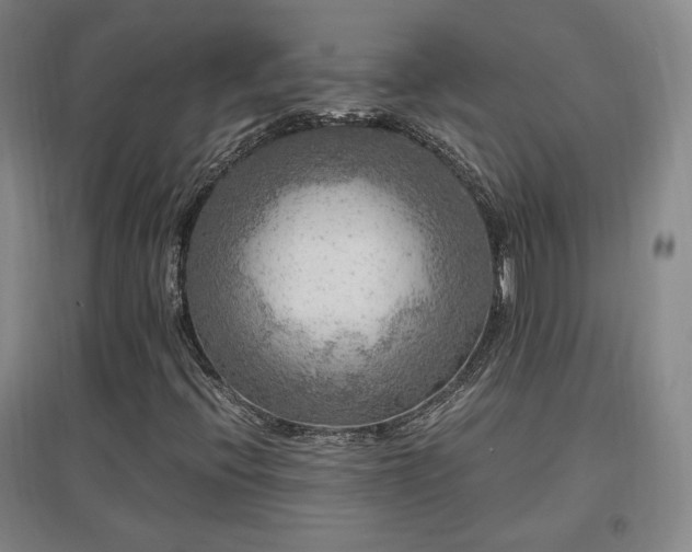 X0000097461396200802221201