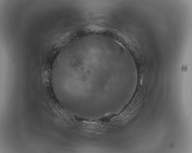 X0000097461397200802221201