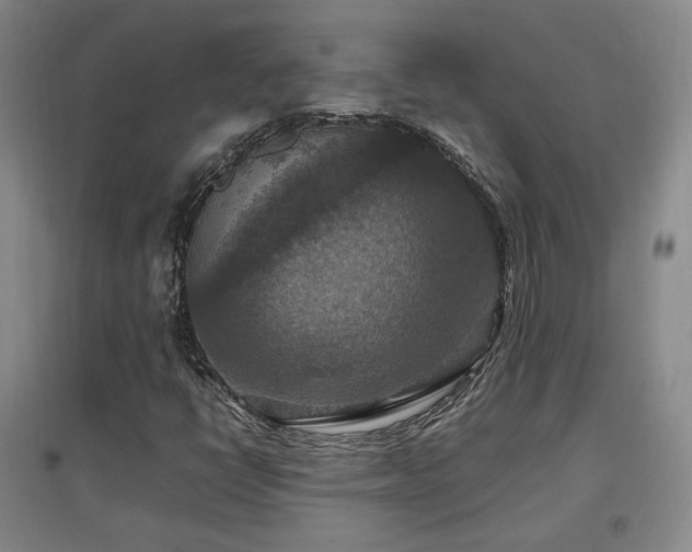 X0000097461398200802221201