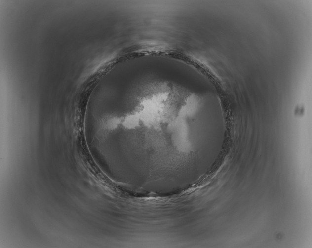 X0000097461399200802221201