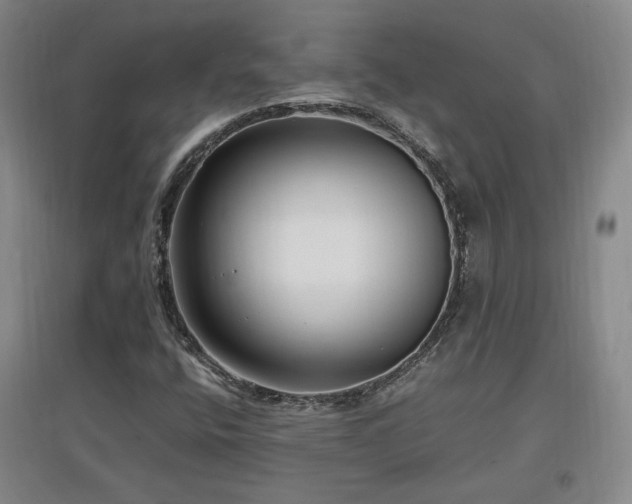 X0000097461400200802221201