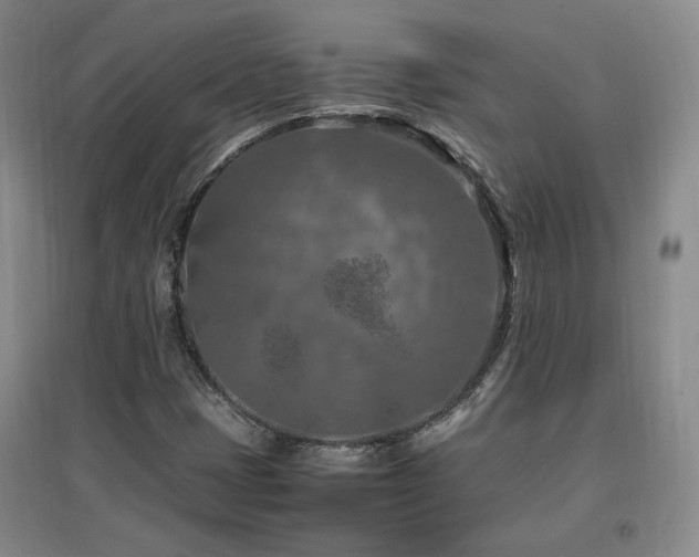 X0000097461401200802221201