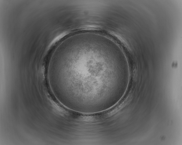 X0000097461402200802221201