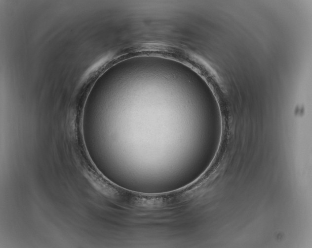 X0000097461403200802221201