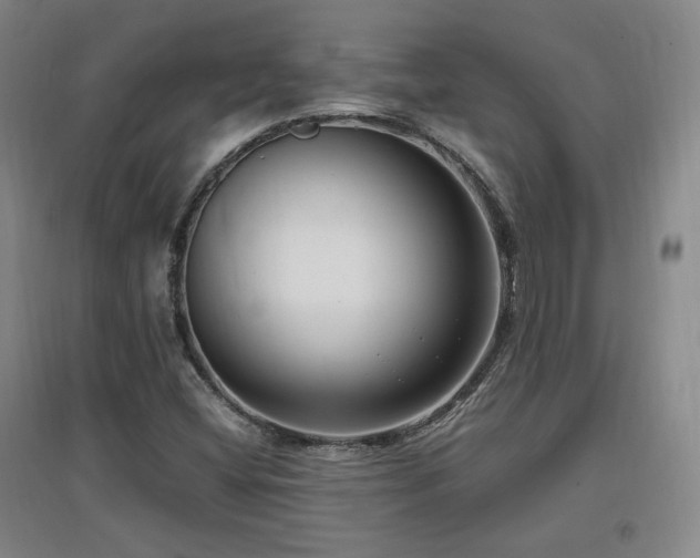 X0000097461404200802221201