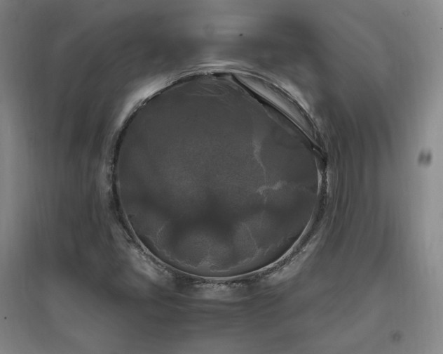 X0000097461405200802221201
