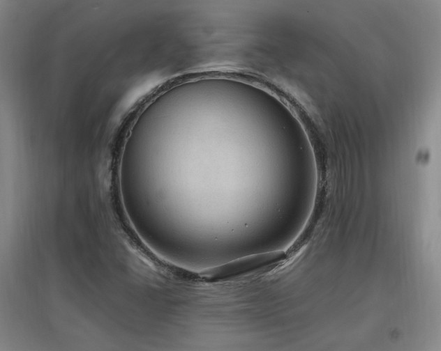 X0000097461406200802221201