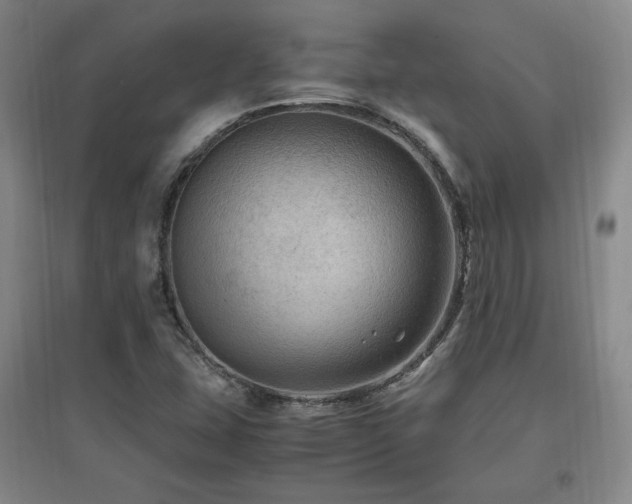 X0000097461407200802221201