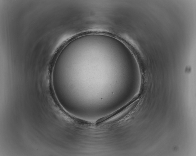 X0000097461408200802221201