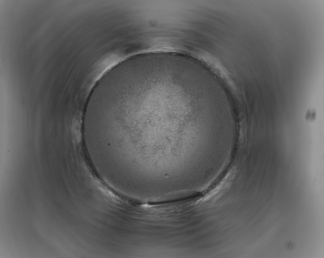 X0000097461409200802221201