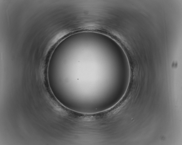 X0000097461410200802221201