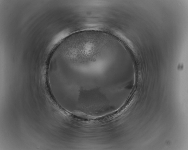 X0000097461411200802221201