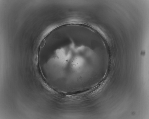 X0000097461413200802221201