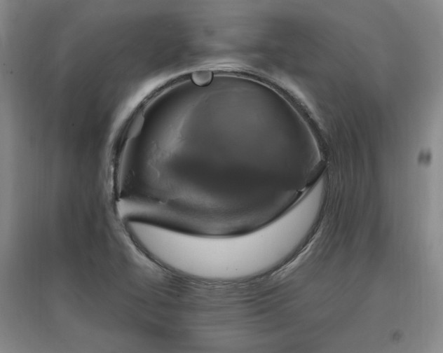 X0000097461414200802221201
