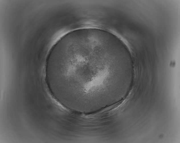 X0000097461415200802221201