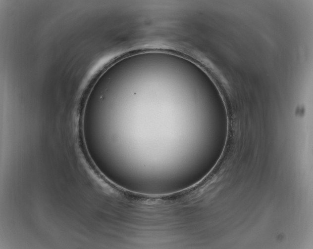 X0000097461416200802221201