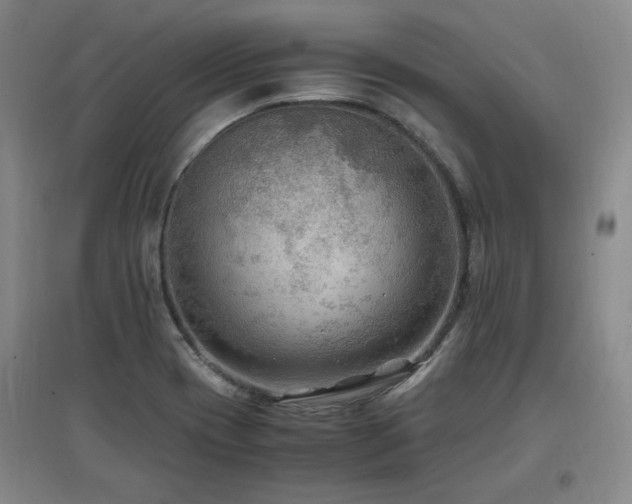 X0000097461417200802221201
