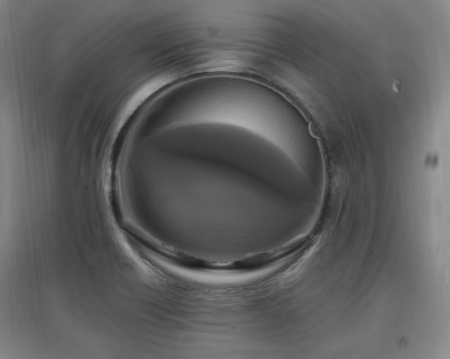 X0000097461418200802221201