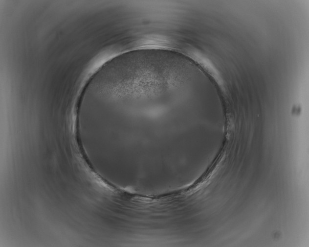 X0000097461419200802221201