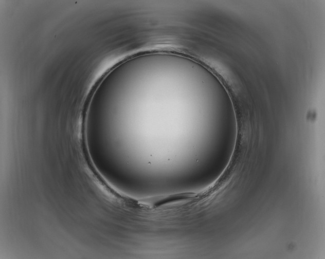 X0000097461420200802221201