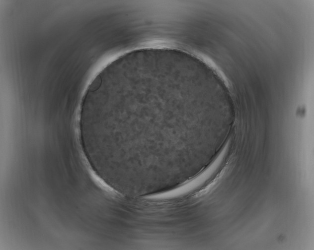 X0000097461421200802221201