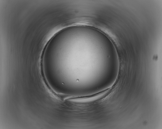 X0000097461423200802221201