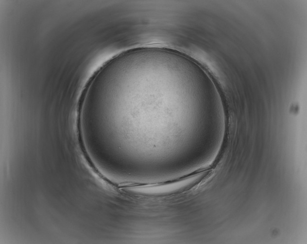 X0000097461424200802221202
