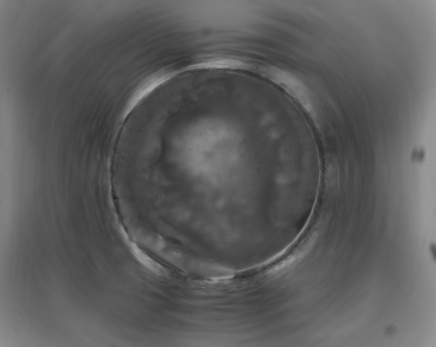 X0000097461425200802221202