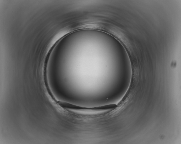 X0000097461426200802221202