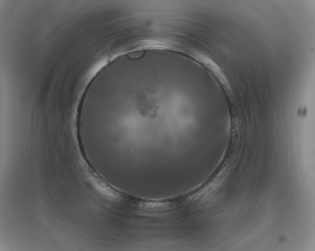 X0000097461427200802221202