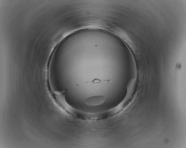 X0000097461428200802221202