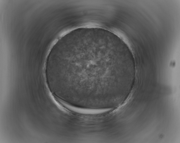 X0000097461429200802221202