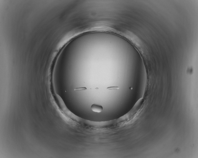 X0000097461430200802221202