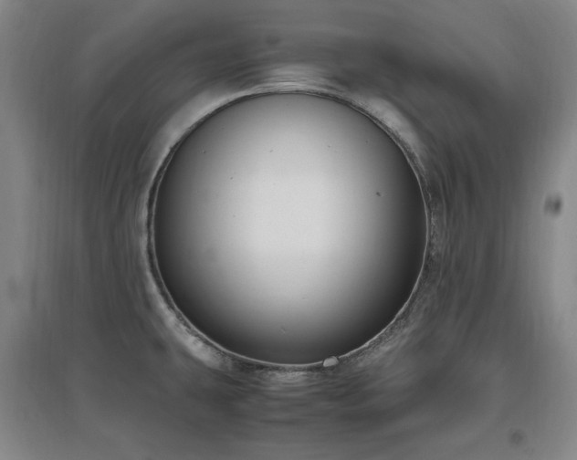 X0000097461431200802221202