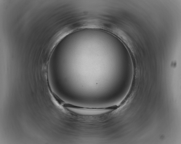 X0000097461433200802221202