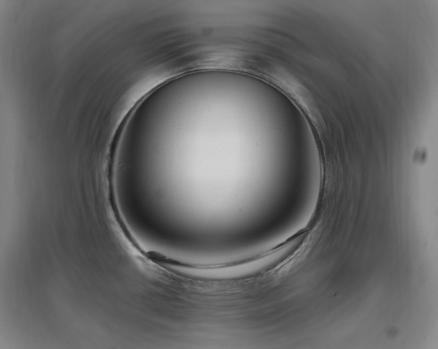 X0000097461434200802221202