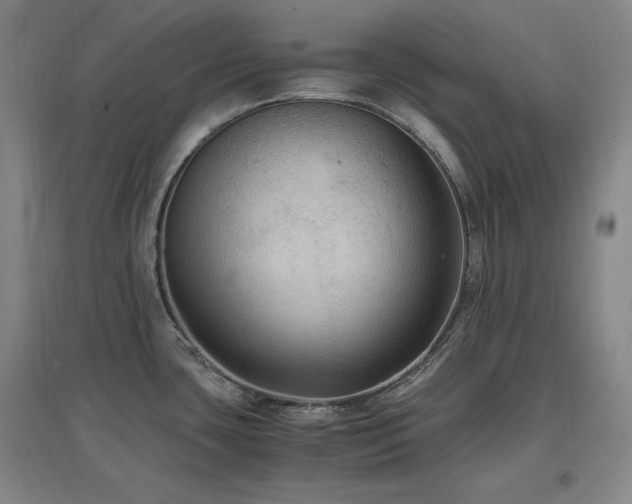 X0000097461435200802221202