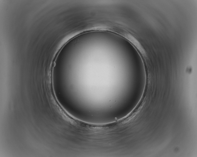 X0000097461436200802221202