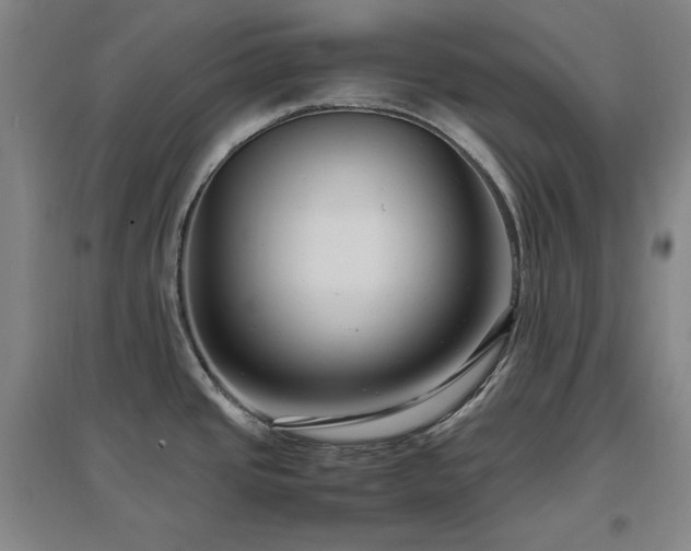 X0000097461437200802221202