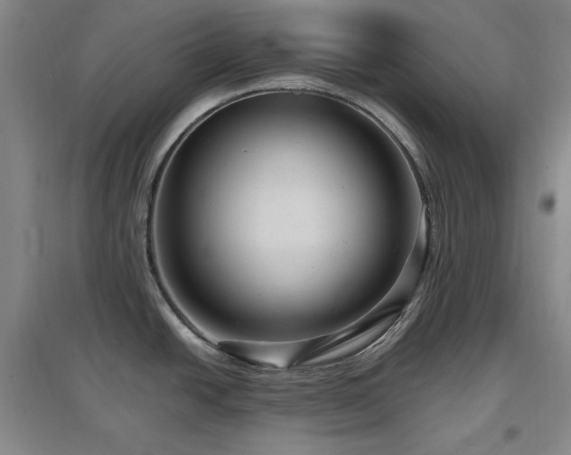 X0000097461438200802221202