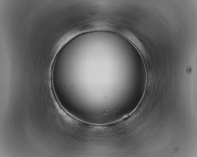 X0000097461439200802221202