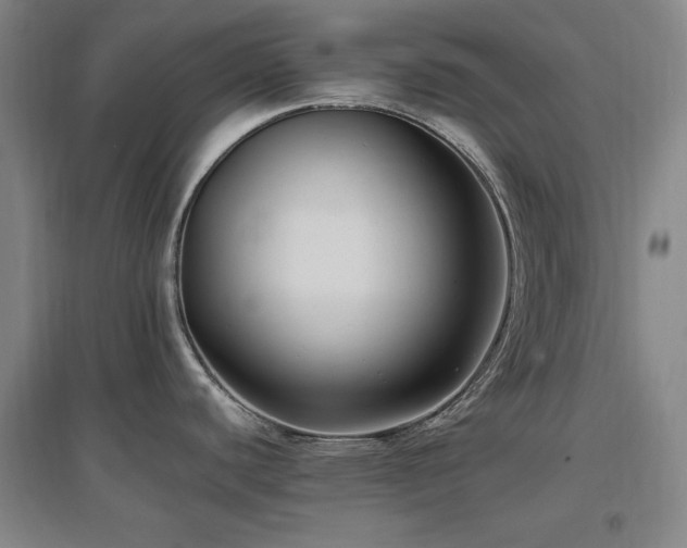 X0000097461440200802221202