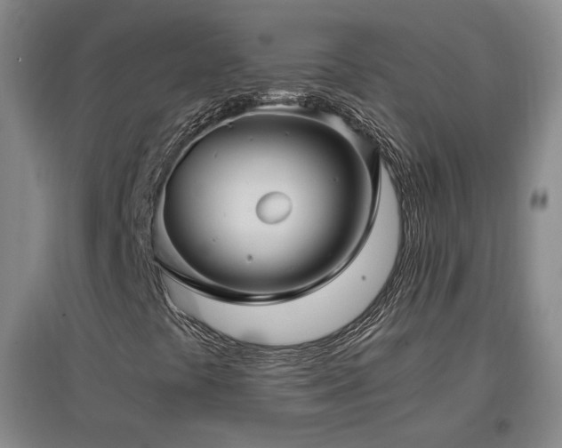 X0000097461441200802221201