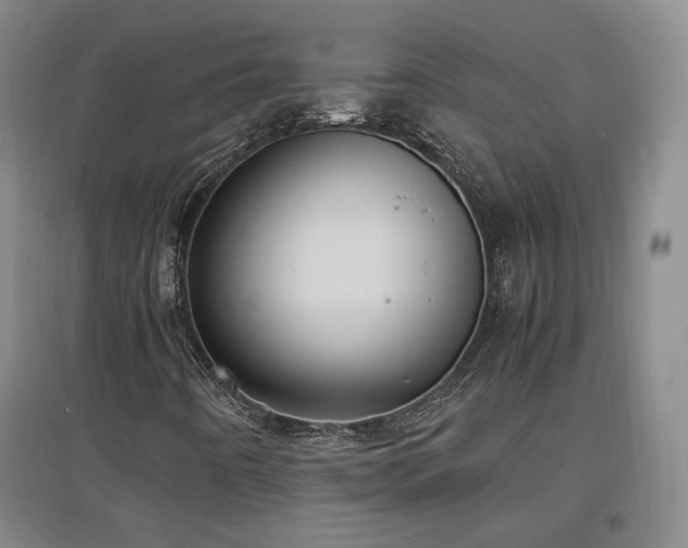 X0000097461442200802221201