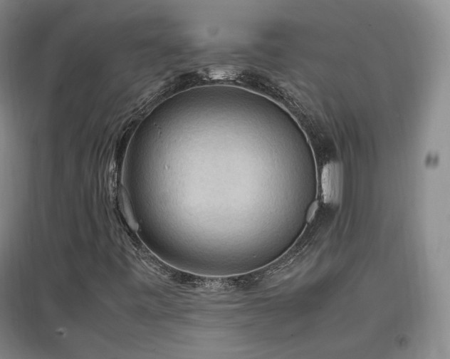 X0000097461443200802221201