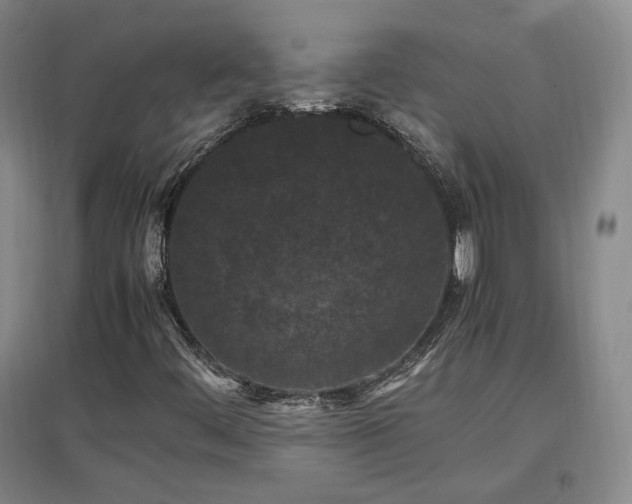 X0000097461444200802221201