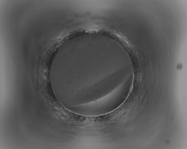 X0000097461445200802221201