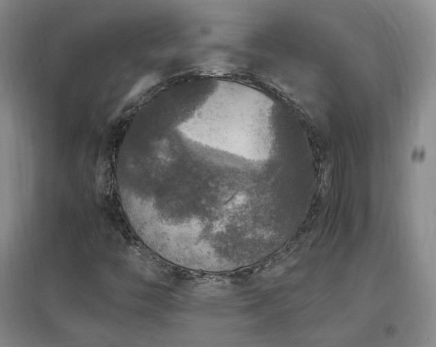 X0000097461446200802221201